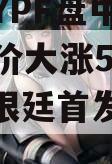 阿根廷YPF盘中异动早盘股价大涨5.13%（阿根廷首发提前曝光）