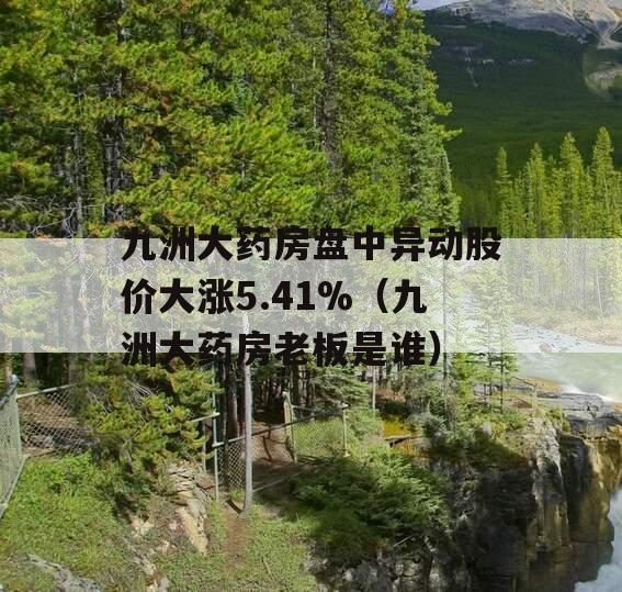 九洲大药房盘中异动股价大涨5.41%（九洲大药房老板是谁）