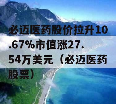 必迈医药股价拉升10.67%市值涨27.54万美元（必迈医药股票）
