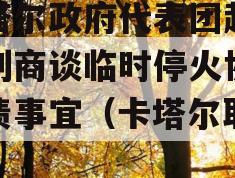 卡塔尔政府代表团赴以色列商谈临时停火协议标债事宜（卡塔尔取消）