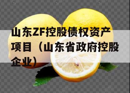 山东ZF控股债权资产项目（山东省政府控股企业）