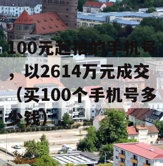 100元起拍的手机号，以2614万元成交（买100个手机号多少钱）