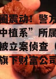 金融圈震动！警方出手，“中植系”所属财富公司被立案侦查（中植集团旗下财富公司）