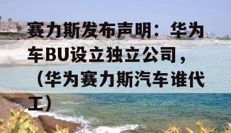 赛力斯发布声明：华为车BU设立独立公司，（华为赛力斯汽车谁代工）