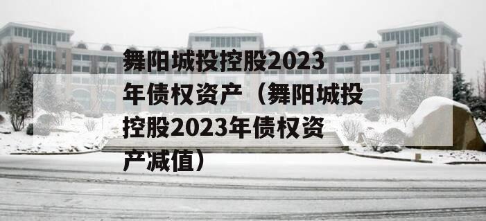 舞阳城投控股2023年债权资产（舞阳城投控股2023年债权资产减值）