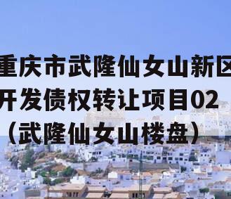 重庆市武隆仙女山新区开发债权转让项目02（武隆仙女山楼盘）
