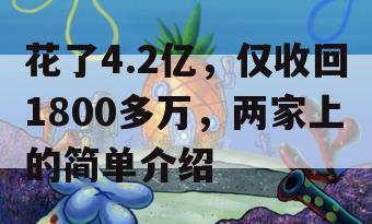 花了4.2亿，仅收回1800多万，两家上的简单介绍