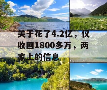 关于花了4.2亿，仅收回1800多万，两家上的信息