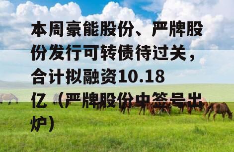 本周豪能股份、严牌股份发行可转债待过关，合计拟融资10.18亿（严牌股份中签号出炉）