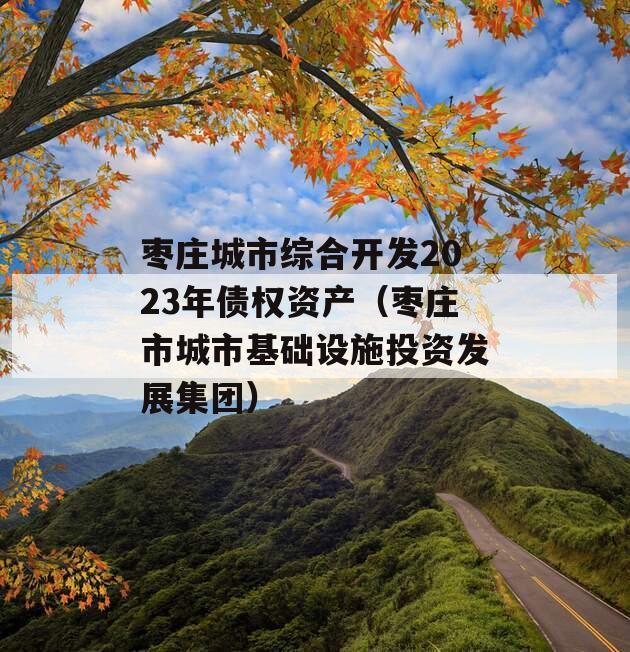枣庄城市综合开发2023年债权资产（枣庄市城市基础设施投资发展集团）