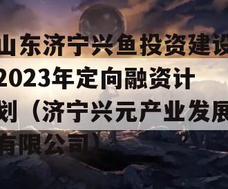 山东济宁兴鱼投资建设2023年定向融资计划（济宁兴元产业发展有限公司）