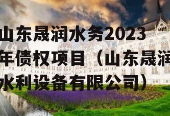 山东晟润水务2023年债权项目（山东晟润水利设备有限公司）