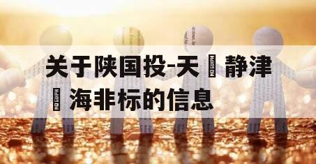 关于陕国投-天‮静津‬海非标的信息