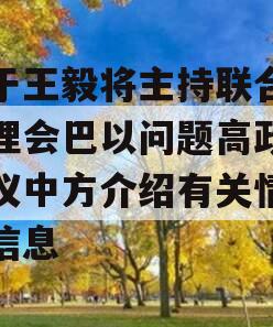 关于王毅将主持联合国安理会巴以问题高政信会议中方介绍有关情况的信息