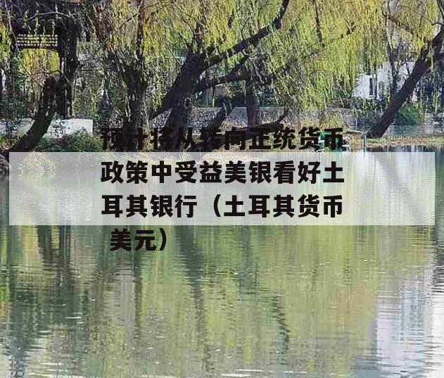 预计将从转向正统货币政策中受益美银看好土耳其银行（土耳其货币 美元）