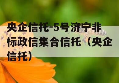央企信托-5号济宁非标政信集合信托（央企信托）