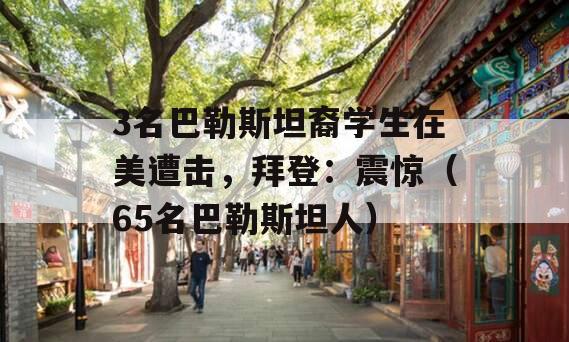 3名巴勒斯坦裔学生在美遭击，拜登：震惊（65名巴勒斯坦人）