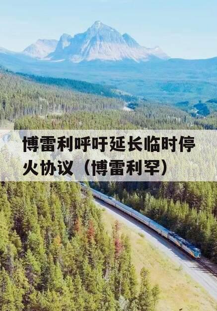 博雷利呼吁延长临时停火协议（博雷利罕）