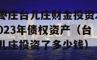枣庄台儿庄财金投资2023年债权资产（台儿庄投资了多少钱）