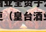 皇台酒业全资子公司名称变更（皇台酒业股权）