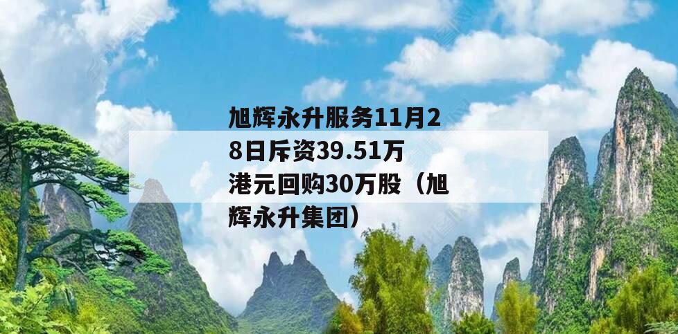 旭辉永升服务11月28日斥资39.51万港元回购30万股（旭辉永升集团）