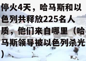 停火4天，哈马斯和以色列共释放225名人质，他们来自哪里（哈马斯领导被以色列杀光）