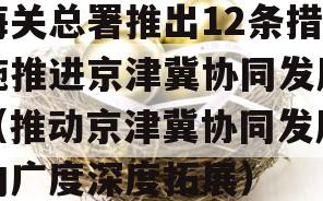 海关总署推出12条措施推进京津冀协同发展（推动京津冀协同发展向广度深度拓展）