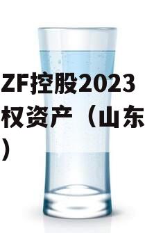 山东ZF控股2023年债权资产（山东债权收购）