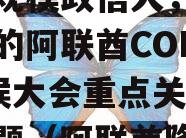 历届规模政信大，即将开幕的阿联酋COP28气候大会重点关注这些议题（阿联酋降水）