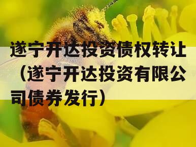 遂宁开达投资债权转让（遂宁开达投资有限公司债券发行）