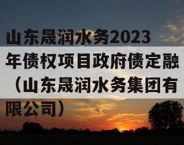 山东晟润水务2023年债权项目政府债定融（山东晟润水务集团有限公司）