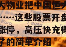 恒大物业把中国恒大告了……这些股票开盘直冲涨停，高压快充概念火了的简单介绍