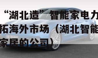 “湖北造”智能家电力拓海外市场（湖北智能家居的公司）