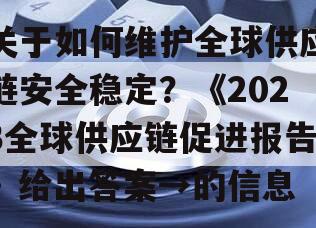 关于如何维护全球供应链安全稳定？《2023全球供应链促进报告》给出答案→的信息