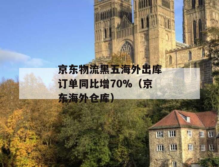 京东物流黑五海外出库订单同比增70%（京东海外仓库）
