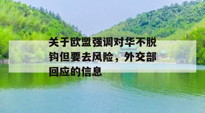 关于欧盟强调对华不脱钩但要去风险，外交部回应的信息