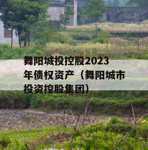 舞阳城投控股2023年债权资产（舞阳城市投资控股集团）
