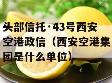 头部信托·43号西安空港政信（西安空港集团是什么单位）