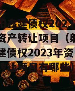 射阳鑫建债权2023年资产转让项目（射阳鑫建债权2023年资产转让项目有哪些）