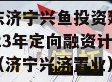 山东济宁兴鱼投资建设2023年定向融资计划（济宁兴济置业）