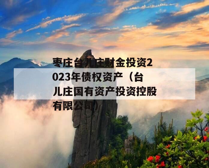 枣庄台儿庄财金投资2023年债权资产（台儿庄国有资产投资控股有限公司）