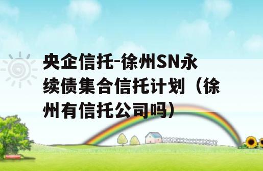 央企信托-徐州SN永续债集合信托计划（徐州有信托公司吗）