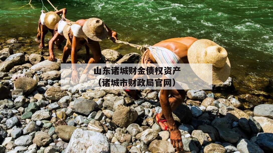 山东诸城财金债权资产（诸城市财政局官网）