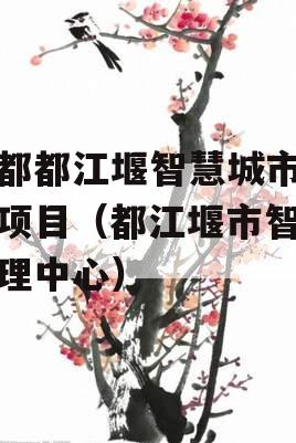 成都都江堰智慧城市运营项目（都江堰市智慧治理中心）