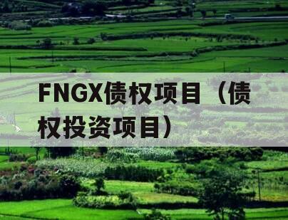 FNGX债权项目（债权投资项目）