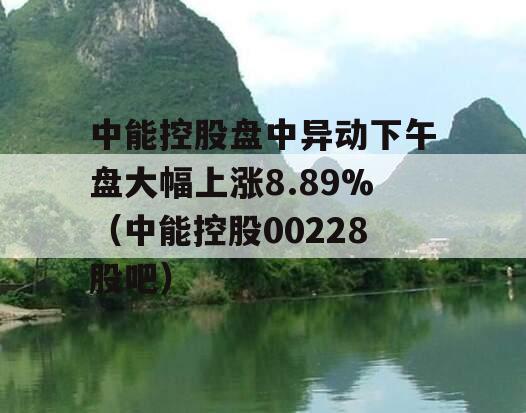 中能控股盘中异动下午盘大幅上涨8.89%（中能控股00228股吧）