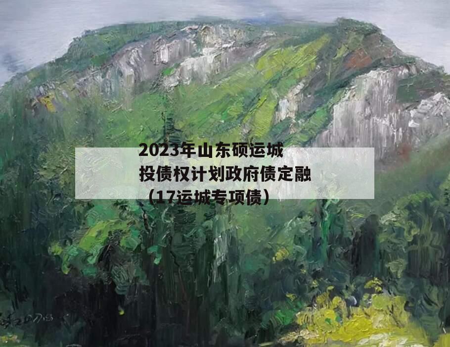 2023年山东硕运城投债权计划政府债定融（17运城专项债）