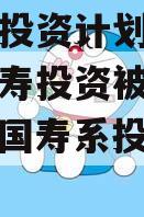 因债权投资计划资金管理等国寿投资被罚30万元（国寿系投资项目）