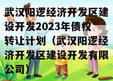 武汉阳逻经济开发区建设开发2023年债权转让计划（武汉阳逻经济开发区建设开发有限公司）