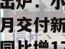 关于造车新势力11月成绩单出炉：小鹏汽车再创单月交付新高，理想汽车同比增172.9%的信息